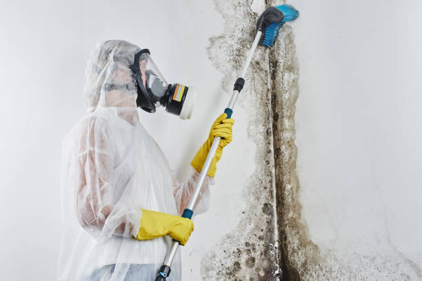 Best Water Damage Restoration  in Kettle Falls, WA