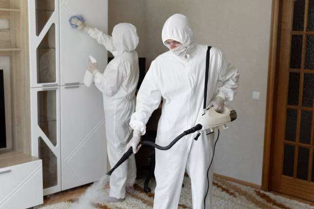 Best Mold Damage Repair  in Kettle Falls, WA
