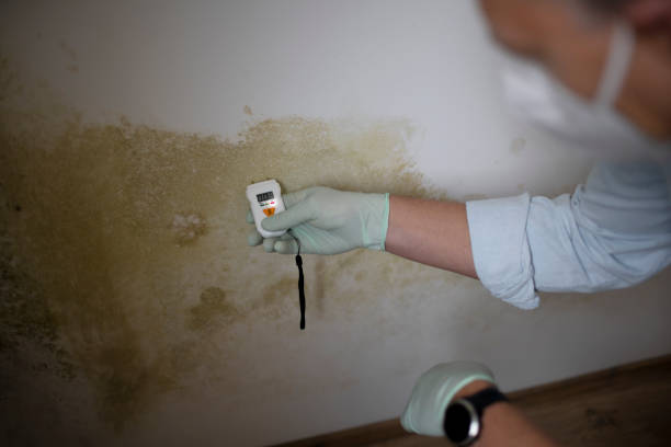 Best Water Damage Restoration  in Kettle Falls, WA