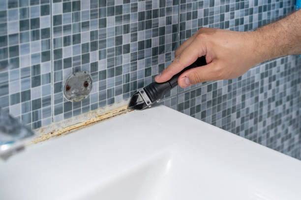 Best Same-Day Mold Removal  in Kettle Falls, WA