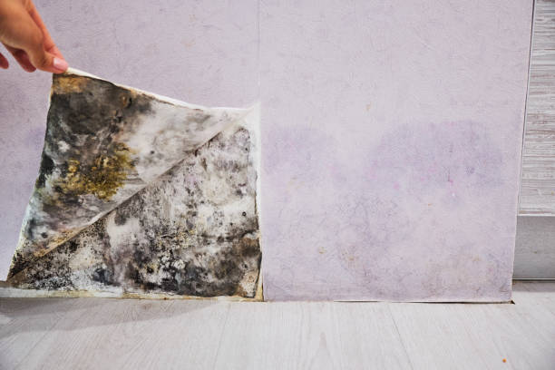 Water Damage Restoration in Kettle Falls, WA